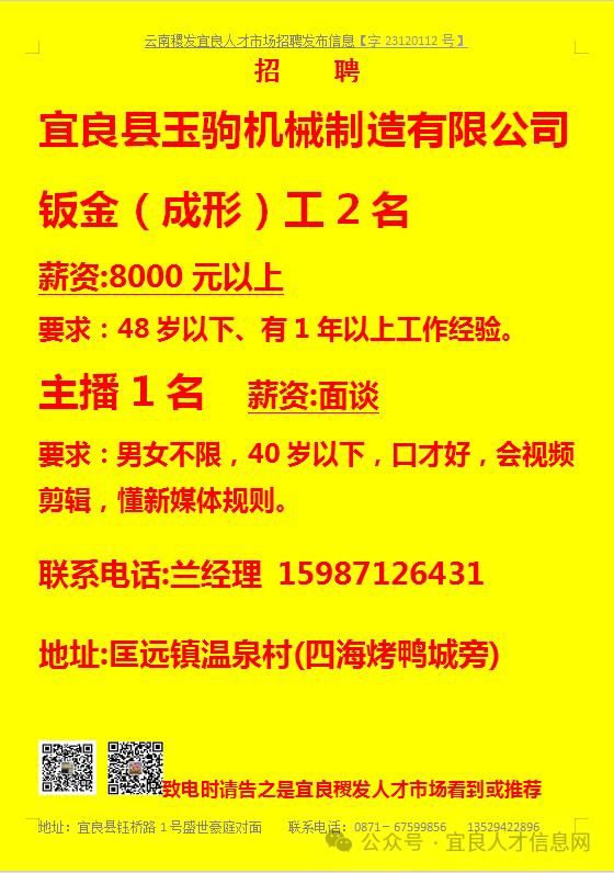 辰时镇最新招聘信息全面解析