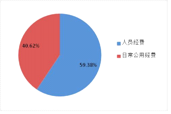 景洪市特殊教育事业单位发展规划展望