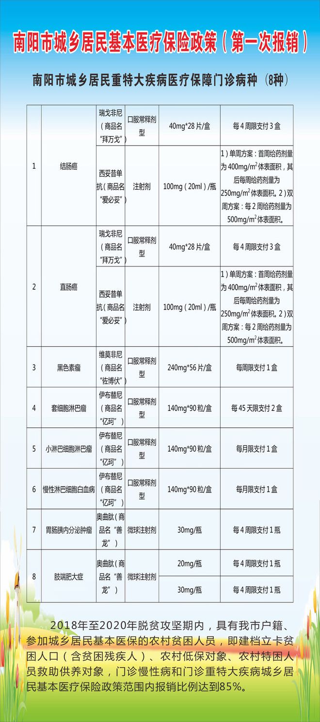 南城县医疗保障局最新项目概览