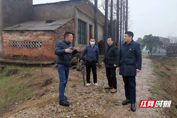 隆那多村新领导，引领繁荣先锋，塑造乡村未来