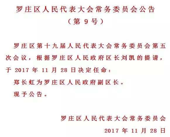 罗庄区审计局人事任命重塑未来审计新局面