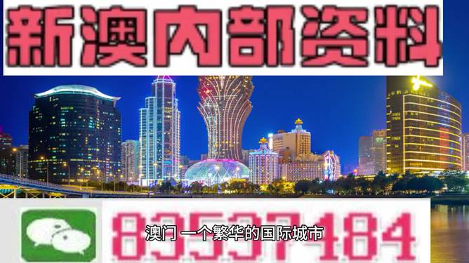 新澳门免费精准大全,实时说明解析_精英版59.606