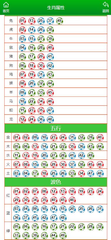 2024年12月7日 第49页