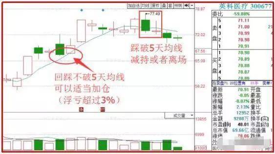 澳门天天开彩期期精准单双,理论分析解析说明_MR53.750