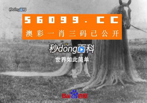 大三巴一肖一码中,经典解析说明_顶级版69.971