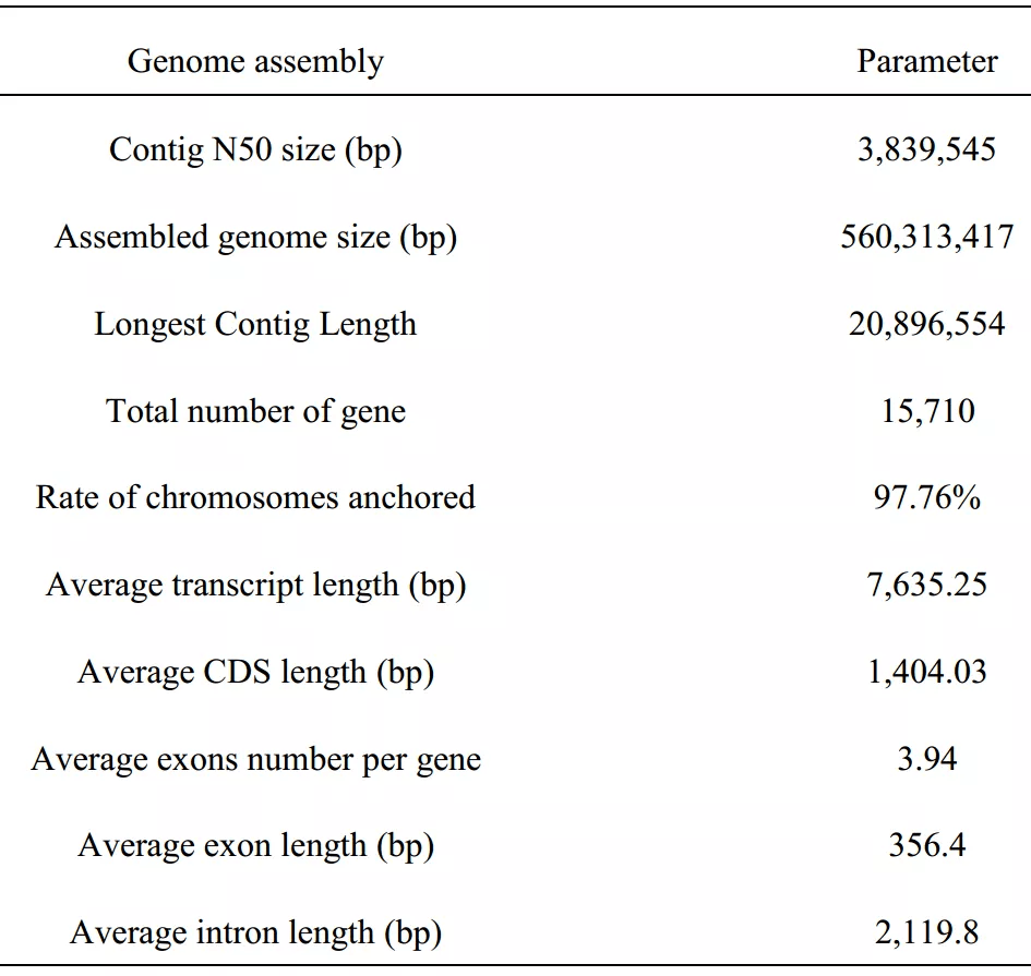 现场开奖澳门直播,统计评估解析说明_超级版67.624