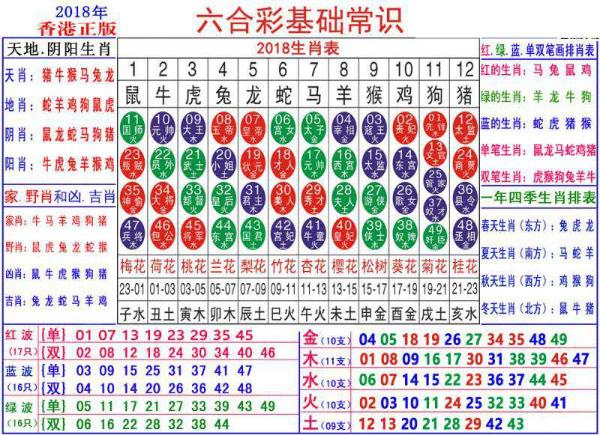 澳门正版资料大全资料生肖卡,项目管理推进方案_GM版42.856