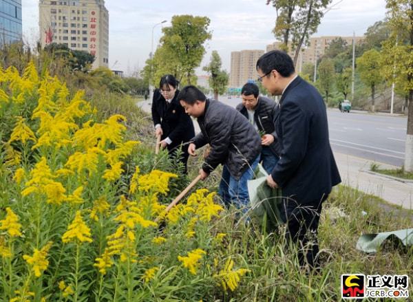 黄花街道最新招聘信息总览