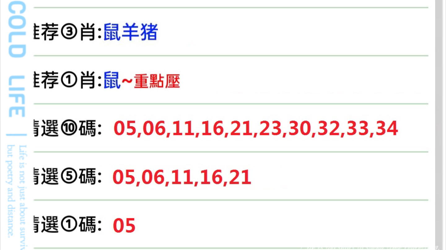 2024年12月11日 第23页