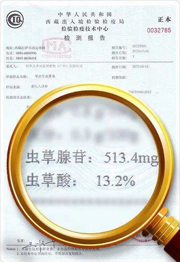 澳门王中王100%期期准确奖四不像,资源整合策略实施_Superior77.513