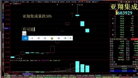 2024新澳天天资料免费大全,实践经验解释定义_3DM54.614