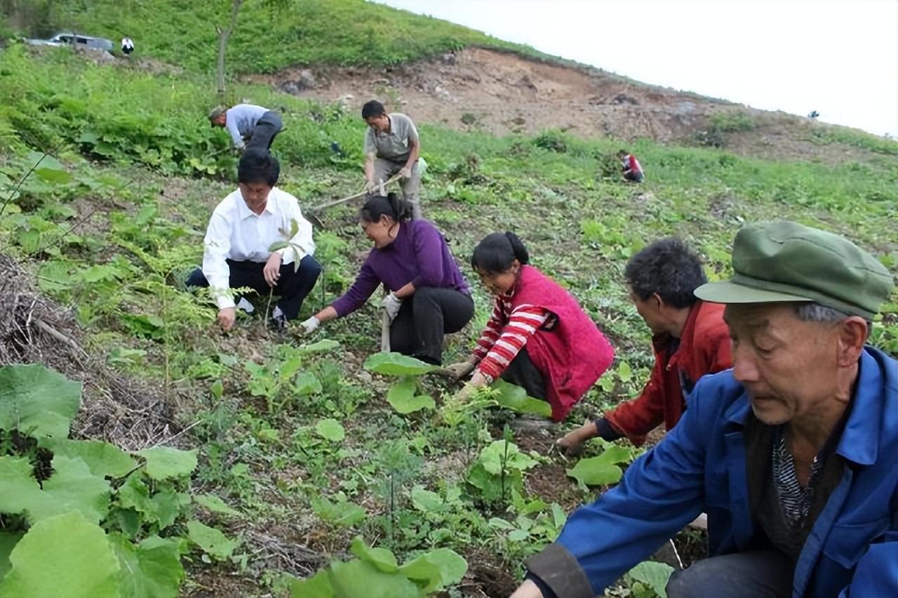 罗盘村新领导引领村庄迈向辉煌