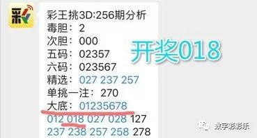 澳门一码一肖一待一中四不像,实证说明解析_2DM35.649