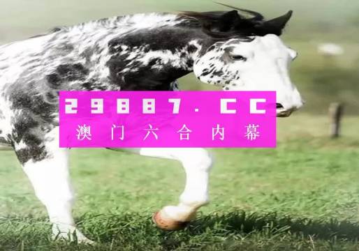 大三巴一肖一码中,综合解答解释定义_HD47.288