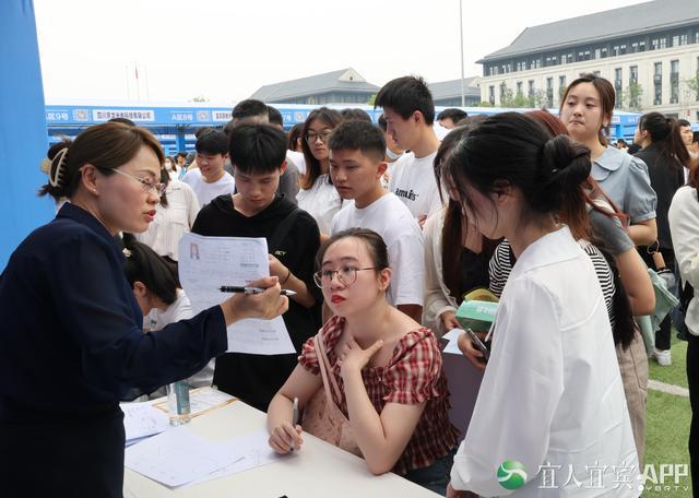 宜宾县教育局最新招聘详解公告