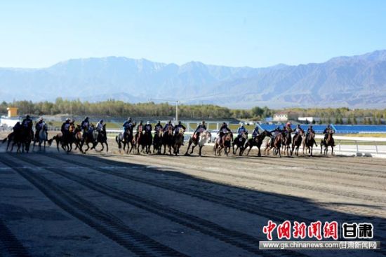 肃北蒙古族自治县农业农村局最新动态报道