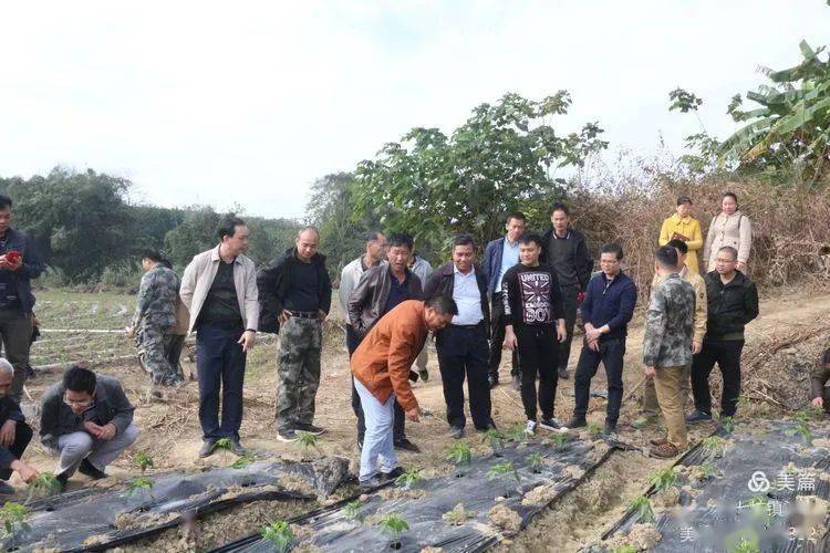 白沙社区村天气预报更新通知