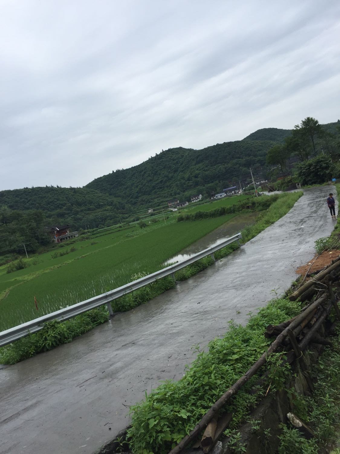 廖家湾乡天气预报更新通知