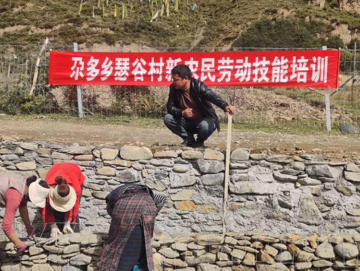 多索村最新项目，乡村振兴典范引领之路