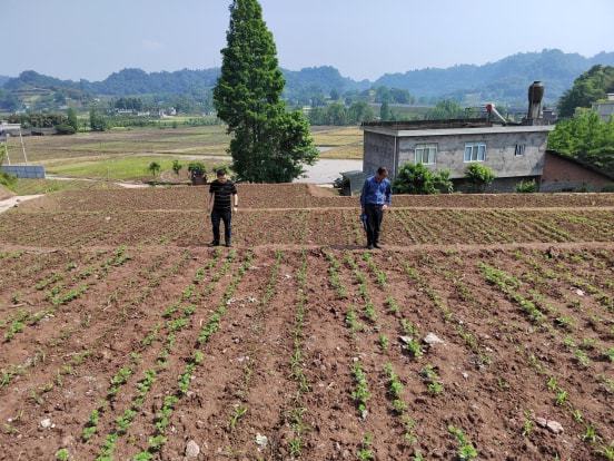 丰满区农业农村局新项目推动农业现代化，乡村振兴再添新动力