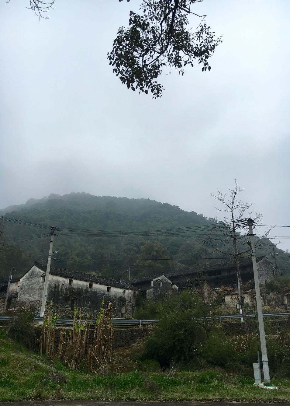 马头川村民委员会天气预报更新通知