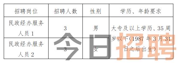 陇南市统计局最新招聘启事概览