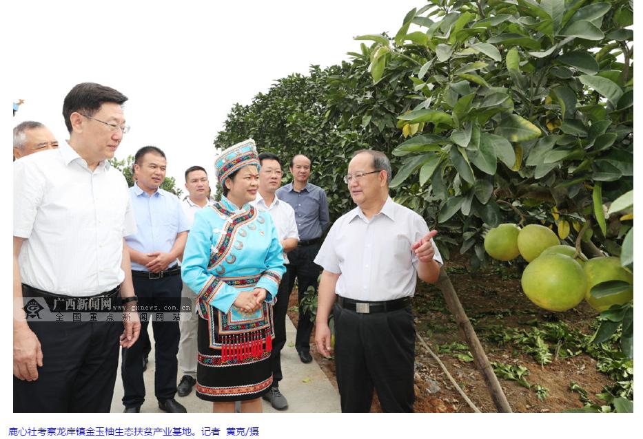 龙岸镇最新项目——引领地区发展的强大动力源泉