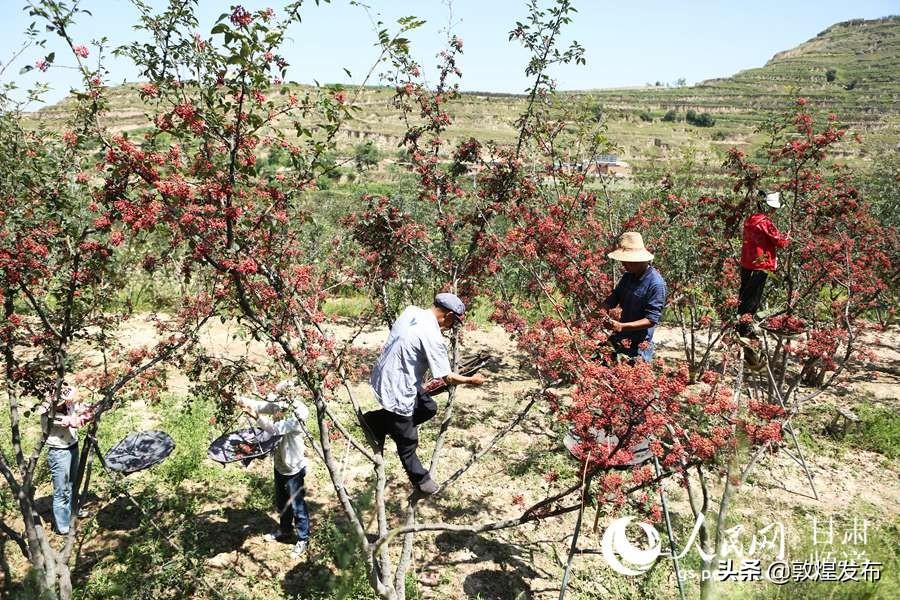 积石山保安族东乡族撒拉族自治县初中招聘最新信息汇总