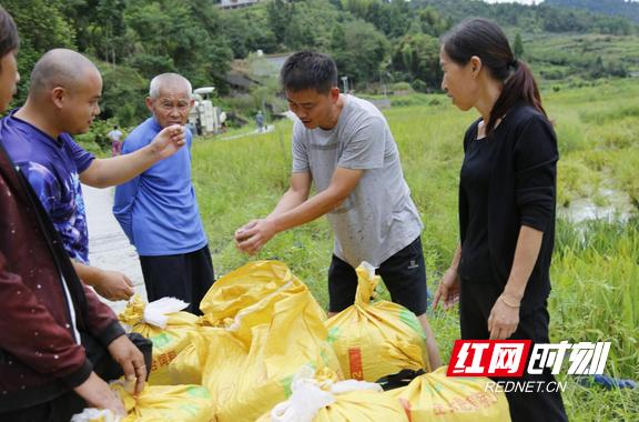 马王村全新发展规划揭秘