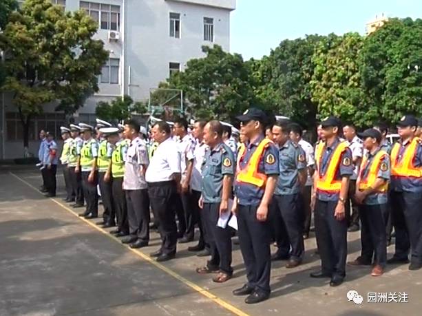 大洲镇交通新闻更新，现代化交通体系建设步伐加快