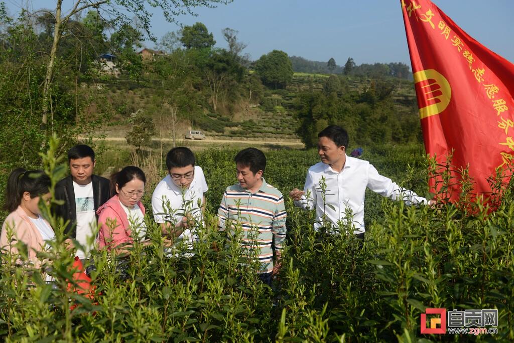 荣县自然资源和规划局新项目推动地方可持续发展与生态保护协同前行