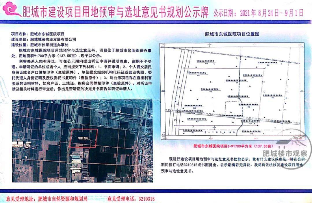 故城县数据与政务服务局发展规划深度探讨