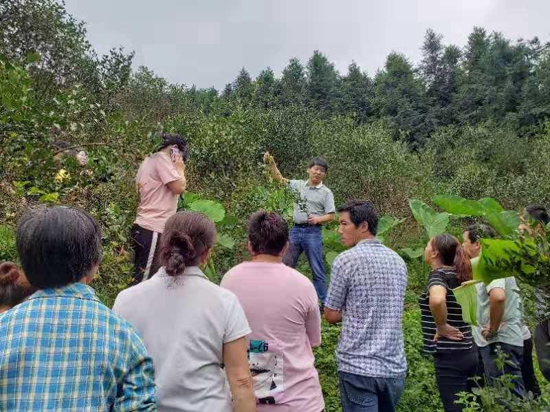 龙胜各族自治县科技局领导团队最新概述