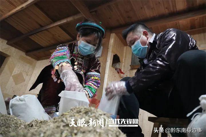 下帅壮族瑶族乡新闻速递，最新动态汇总