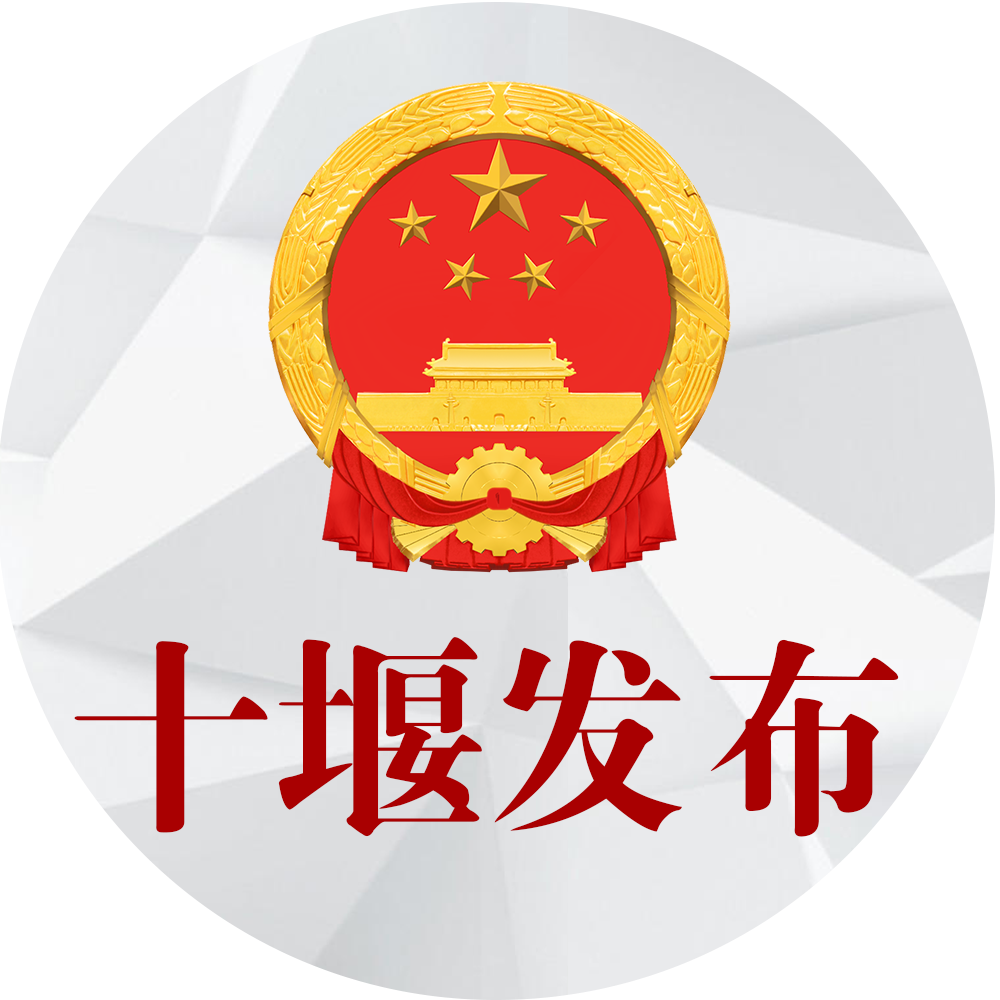 十堰市发展和改革委员会最新项目动态概览