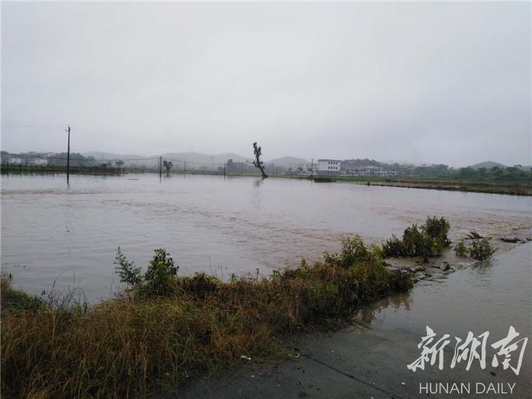 浪水乡天气预报更新通知