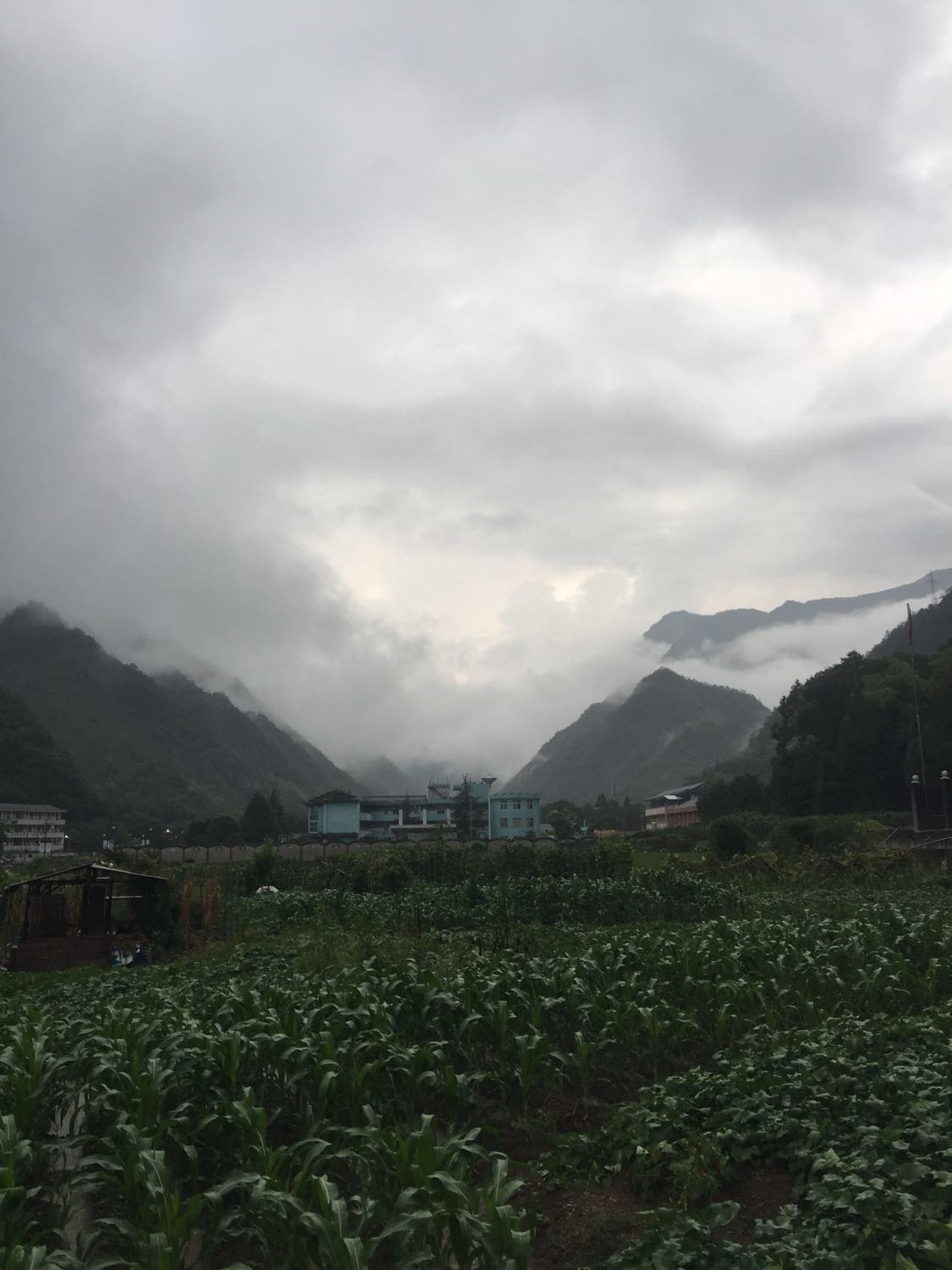 俄拉村今日天气预报