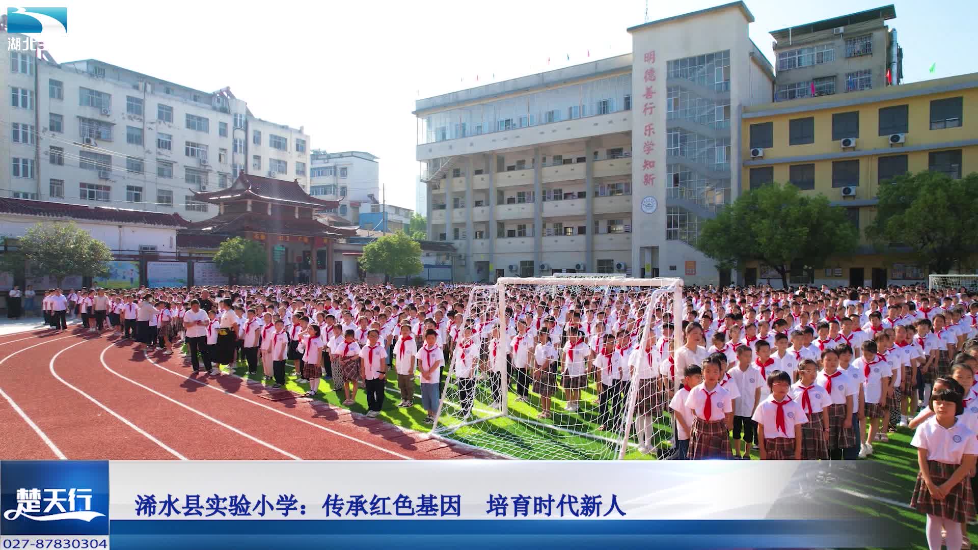 浠水县小学最新项目，引领教育改革，点亮未来之光