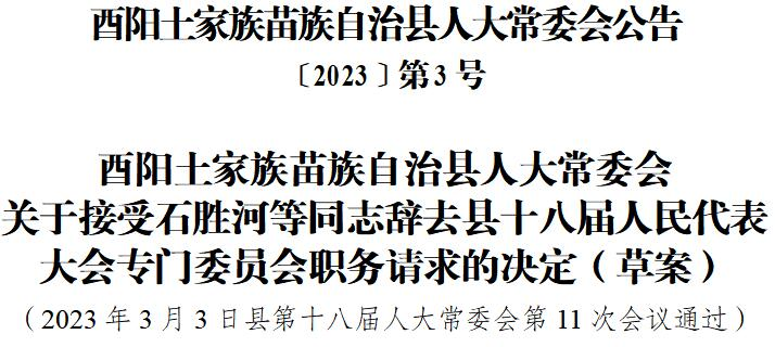 酉阳土家族苗族自治县小学人事任命最新动态